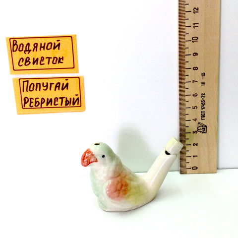 Попугай ребристый