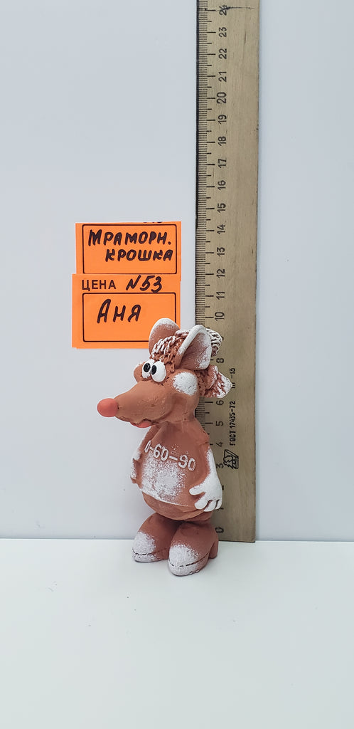 0053. Аня